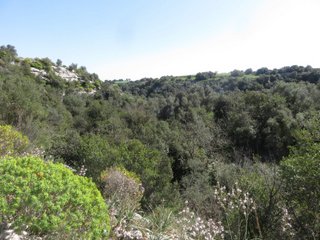 Catacombe cava Palombieri